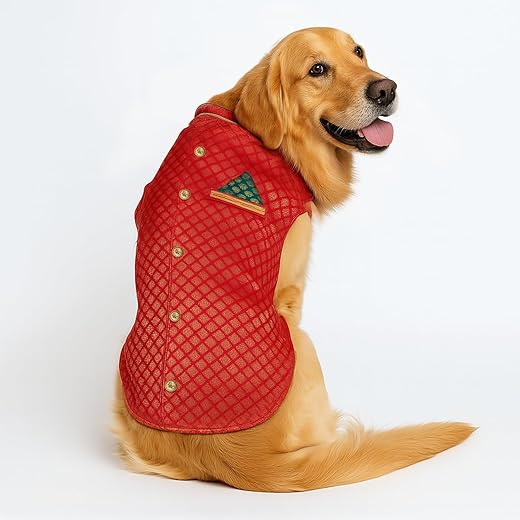 PawsIndia Red Royal Brocade Dog Ethnic Wear – Traditional Indian Outfit for Dogs | Designer Wedding & Festive Costume | Ethnic Pet Dress for Small & Large Dogs