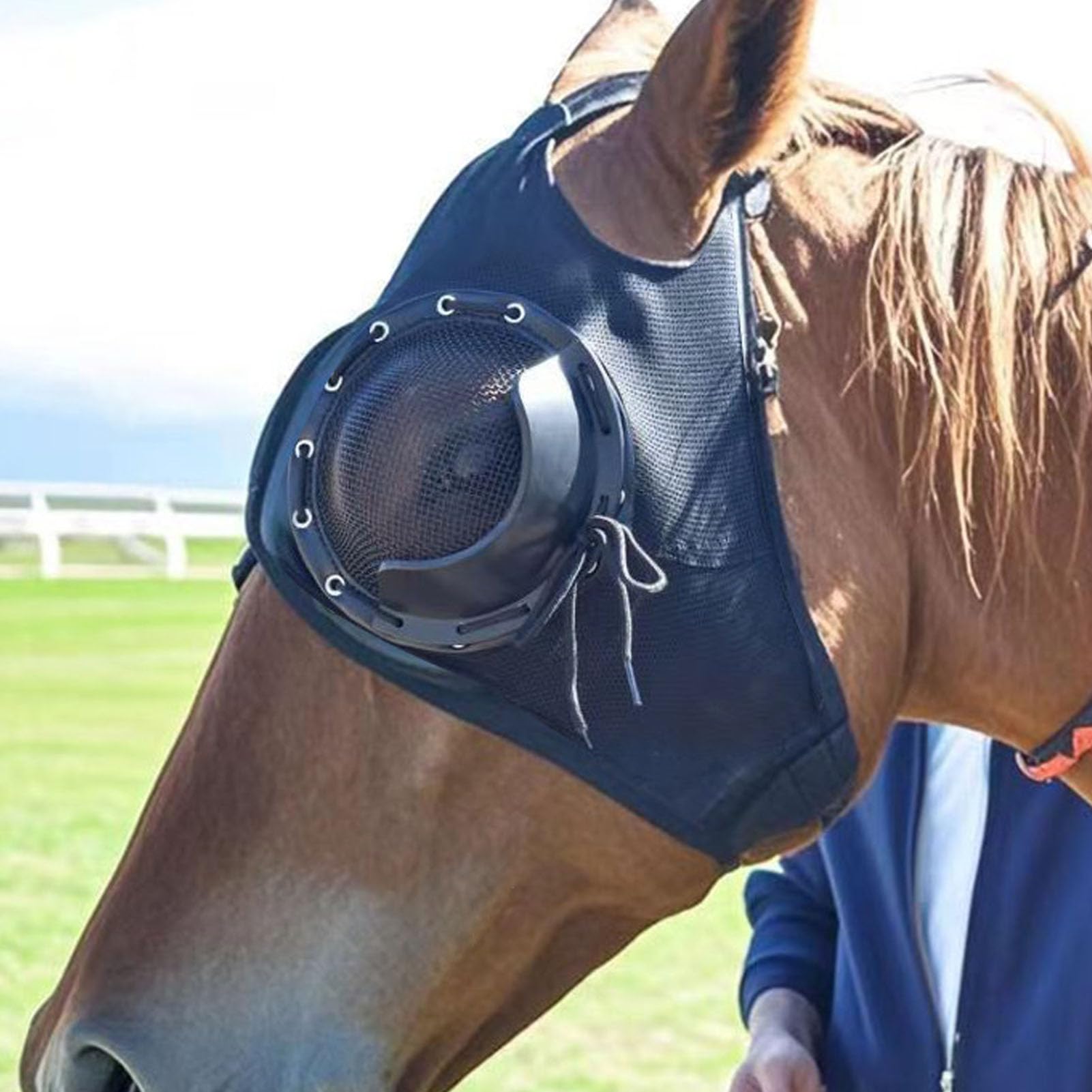 Luocute Gafas de Carreras de Caballos, Red Protectora a Prueba de Viento y, Cubierta para Ojos de Caballo con Media Cubierta Extraíble para Enfoque y Control de Moscas en Cl