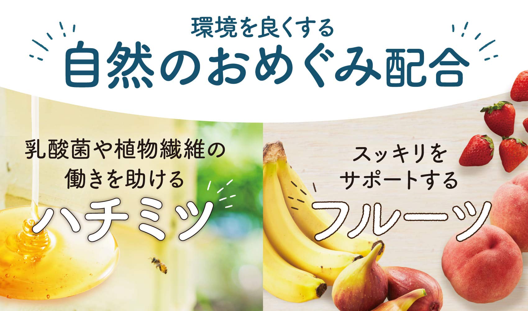 Amazon | ファンファレ たよりのおめぐ実 62粒（31日分） 乳酸菌 食物