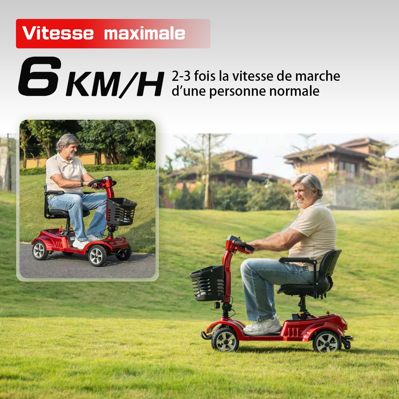 Z02 Véhicule de Mobilité Électrique pour Seniors, 4 Roues