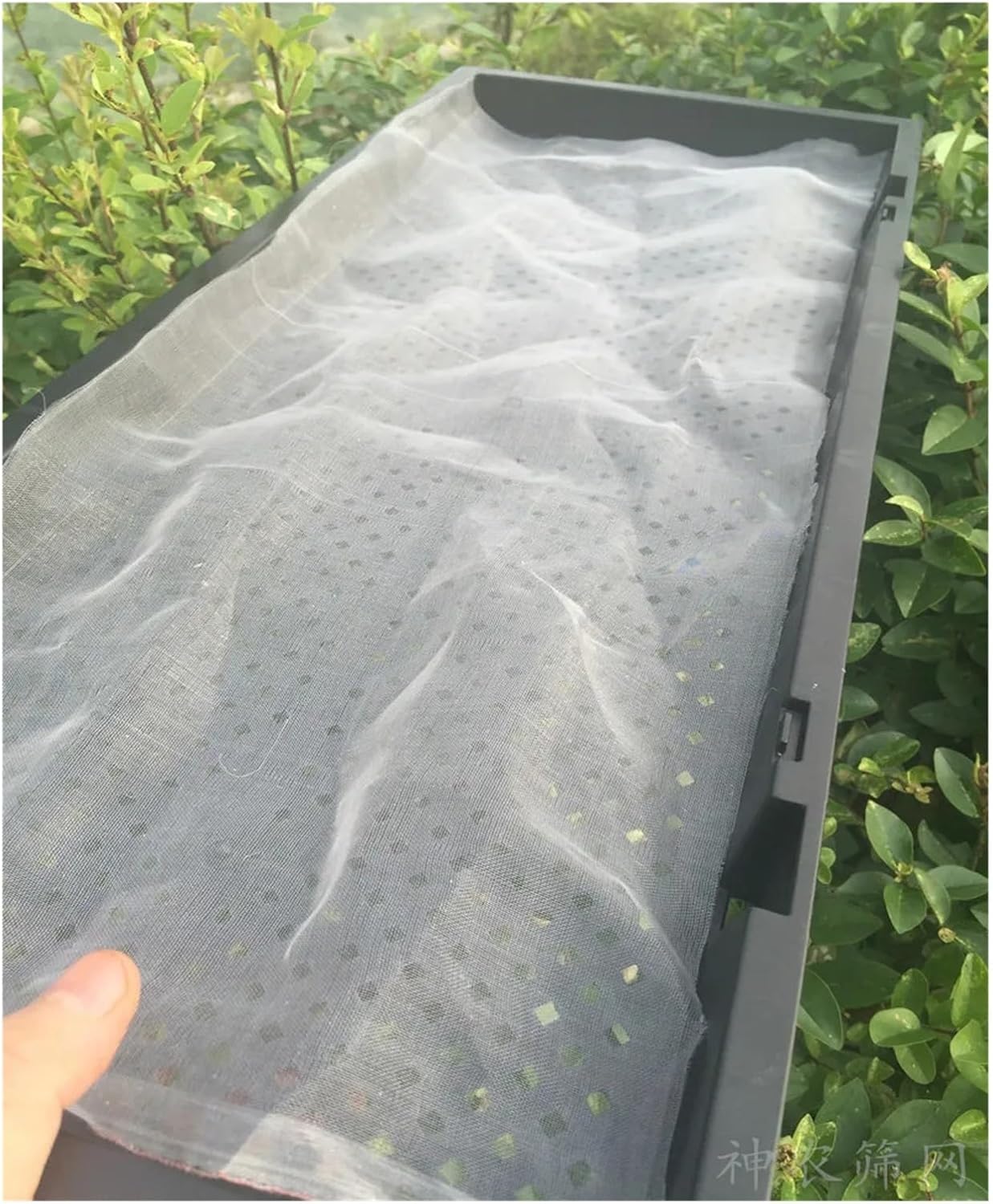 White Nylon Net Home Horticultural Net Plant Protective Equipment Fruit Anti Bird Netting(80 mesh,2m x 3m)