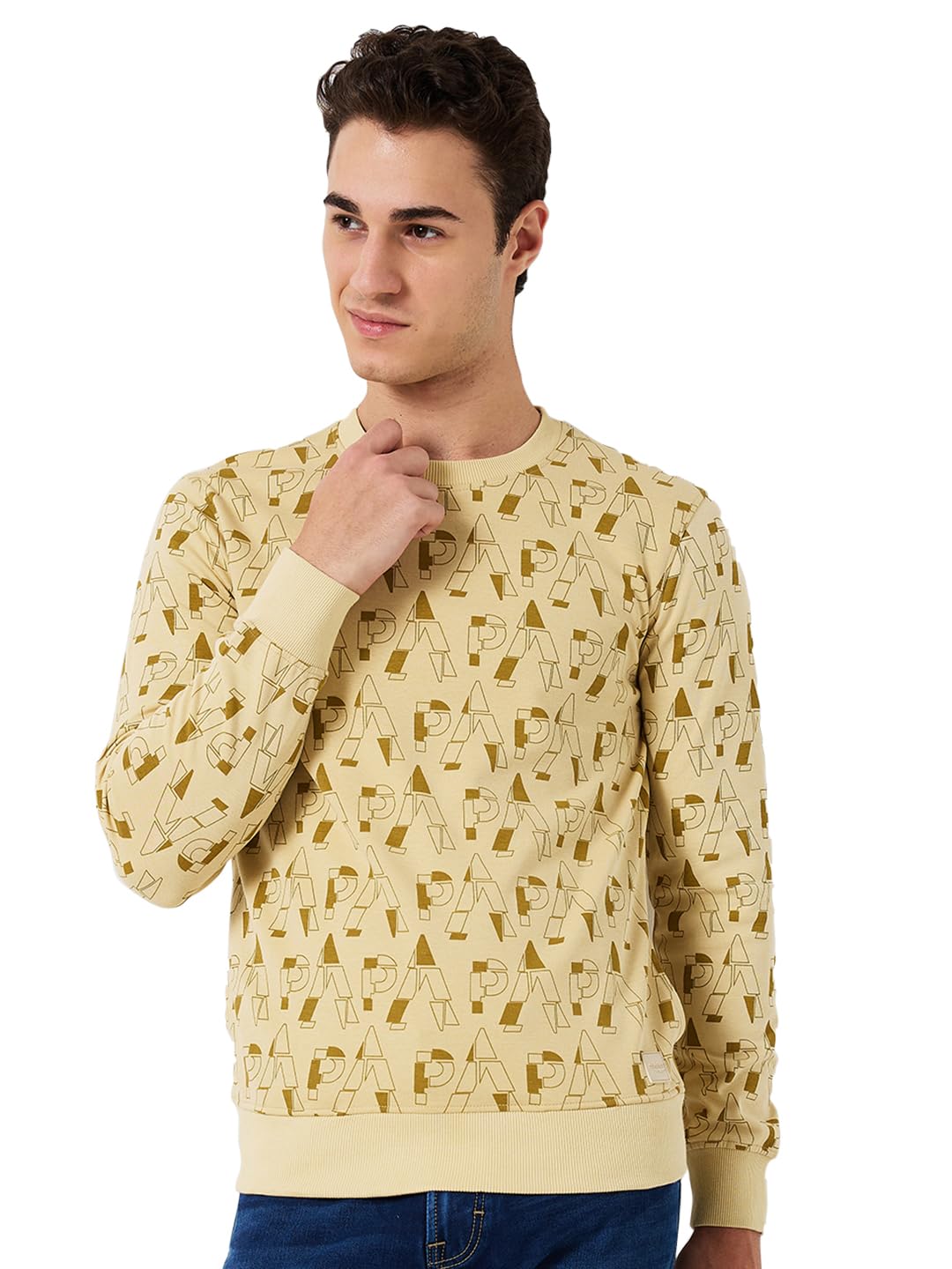 park avenue Men Slim Fit Print Pattern Cotton Polyester Blend Full Sleeve Rib Neck Casual Sweatshirt-picture-24