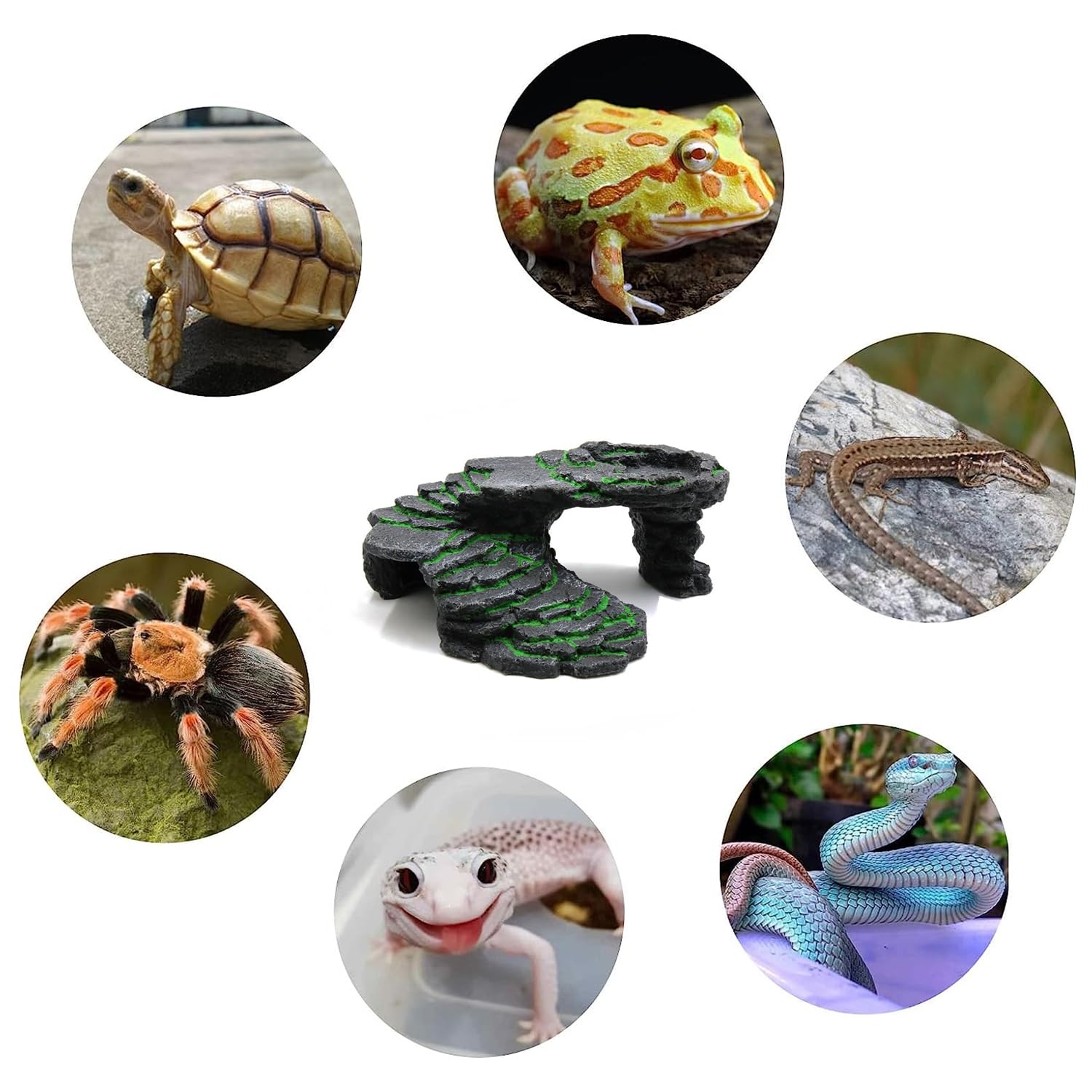 Rettili Ramp Piattaforma Tartaruga Basking Piattaforma Rocce Passo Alimentatore e Geco Grotta Nascondiglio Rifugio Per Rettile Rane Lucertole Camaleonte Acquario Decorazione