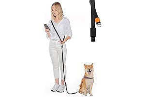 ZeeDog Hands Free Leash: Your Active Dogging Companion