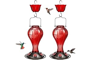 2 Pack Glass Hummingbird Feeder, 24oz, Ant Moat