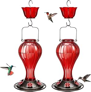 Kingsyard 2 Pack Glass Hummingbird Feeder 24 Ounces, 6 Feeding Ports, Hanging Bird Nectar Feeder for Outdoors Garden Yard Décor, Ant Moat Included, Red asin的图片
