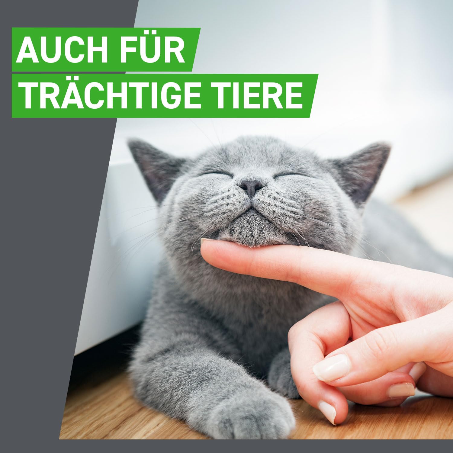 FRONTLINE Combo Katze gegen Zecken, Flöhe & Haarlinge (für Jede Größe & Gewicht) - 6X Pipetten für bis zu 6 Monate Schutz - auch gegen Floheier, Larven & Puppen im Haushalt - wasserfest