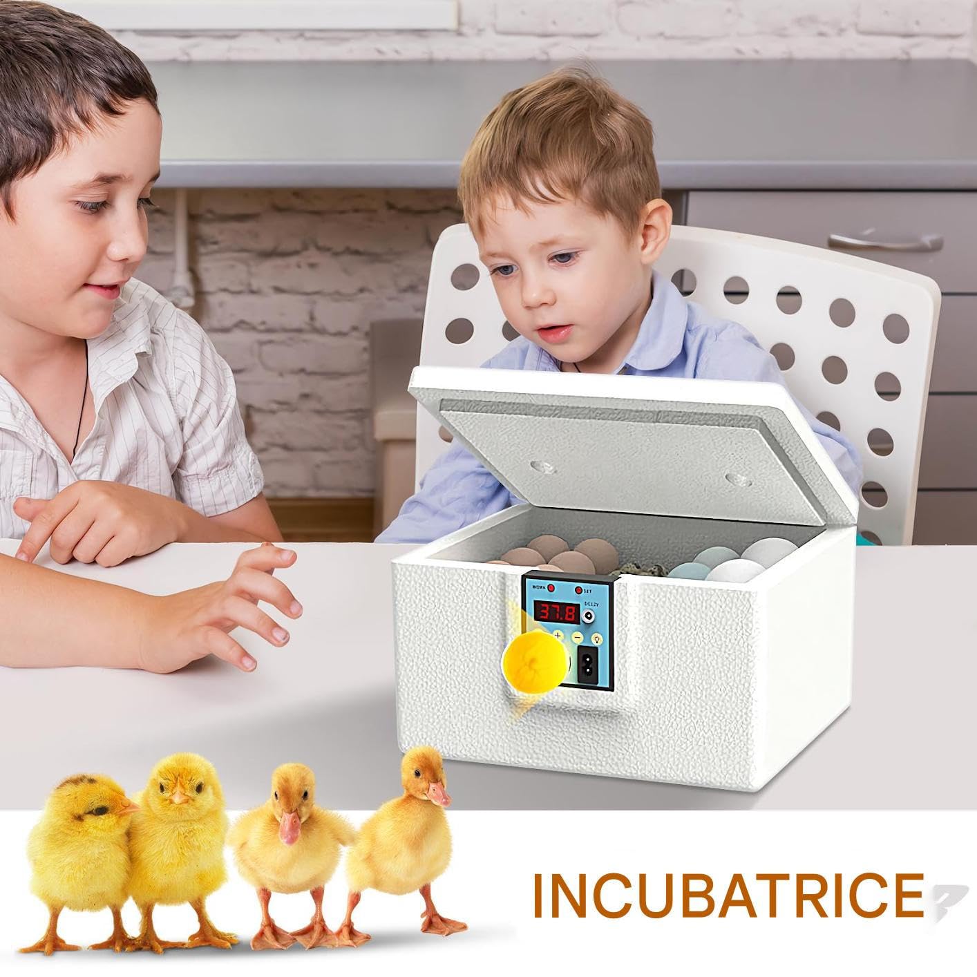 Incubatrice Per Uova | Riscaldato Intelligente Per Pulcini,Controllo Temperatura Automatico Con Schiusa In