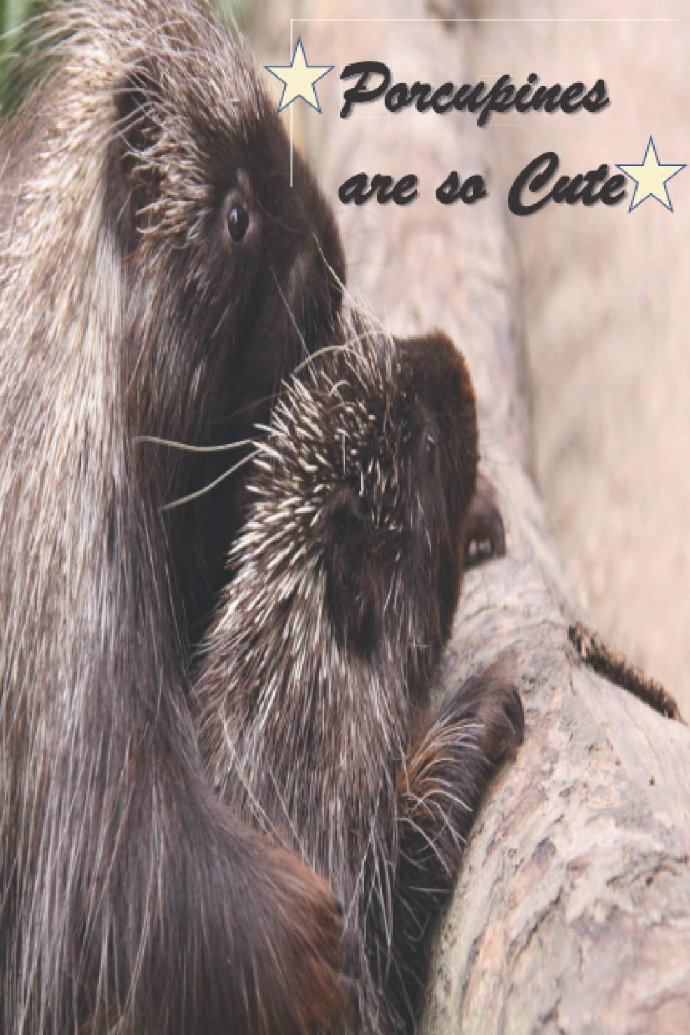 Porcupines are so Cute