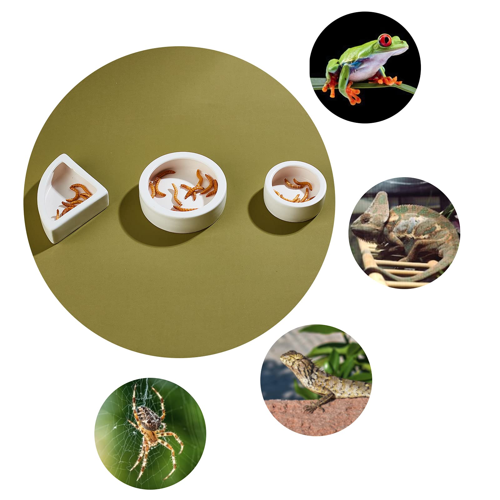 AHANDMAKER Mangiatoia per Rettili, Mangiatoia per Rettili, Ciotola Anti-Fuga, Mangiatoia per Rettili Nera a Prova di Fuga, Vasetto per Acqua di Vermi Piccola Lucertola Geco Ciotole