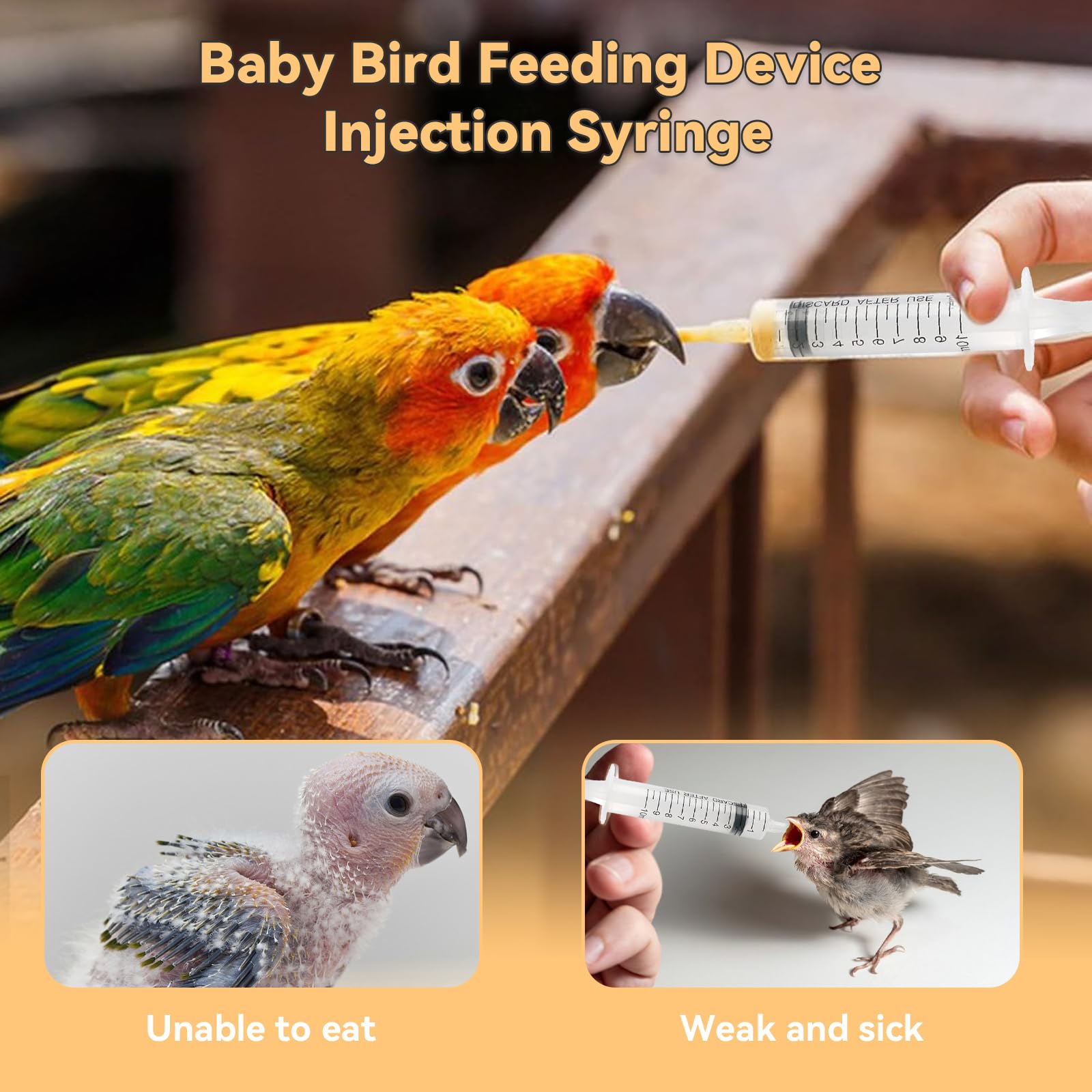 12 Pièces Sondes d'alimentation pour Oisillons, Seringue d'alimentation, Seringue Bébé Oiseau avec 2 Seringues de 10 ML, pour Perroquets, et Petits Animaux pour Jeunes Oiseaux