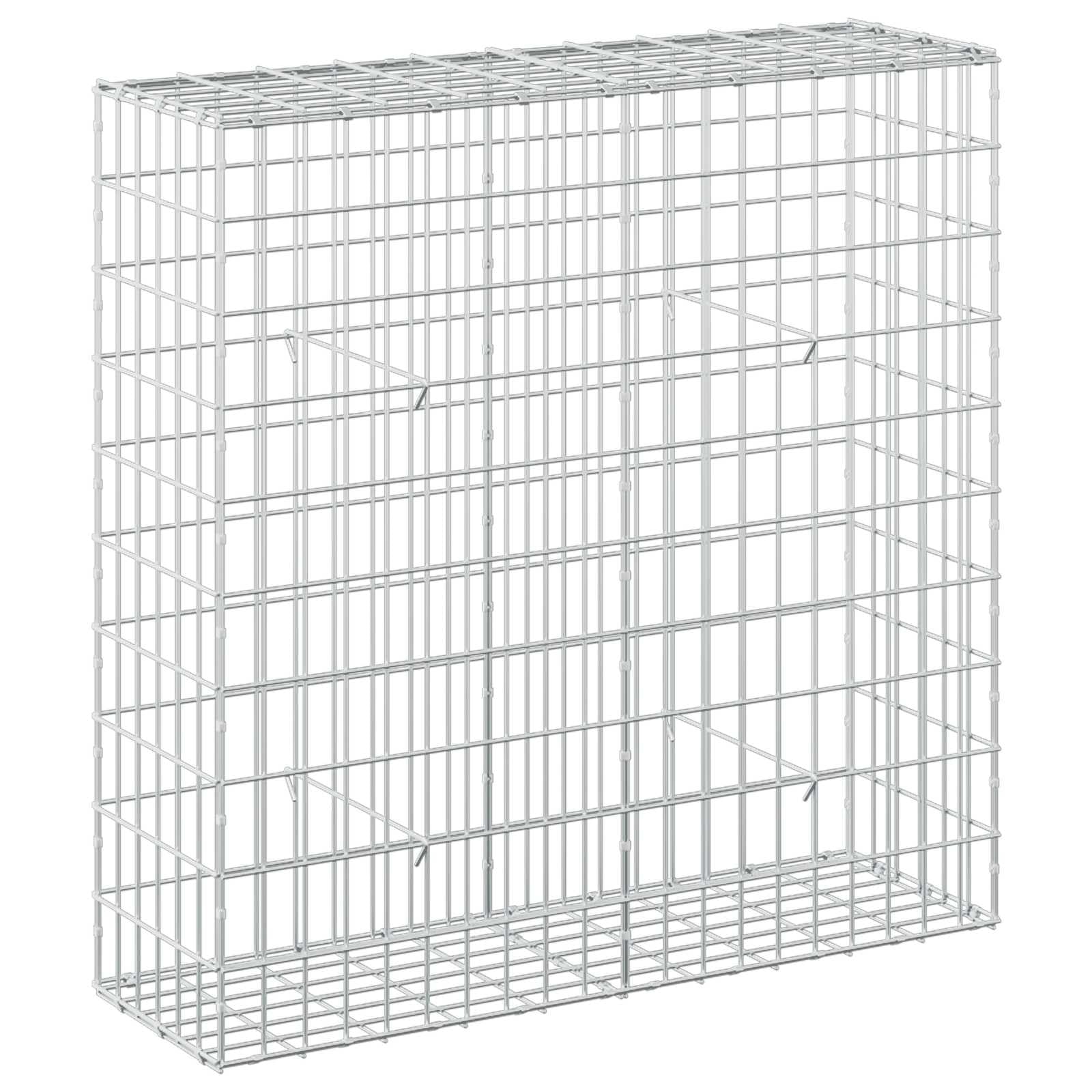 vidaXL Gabion with 5 mm Wire and 5x10 cm Mesh 100x30x100 cm
