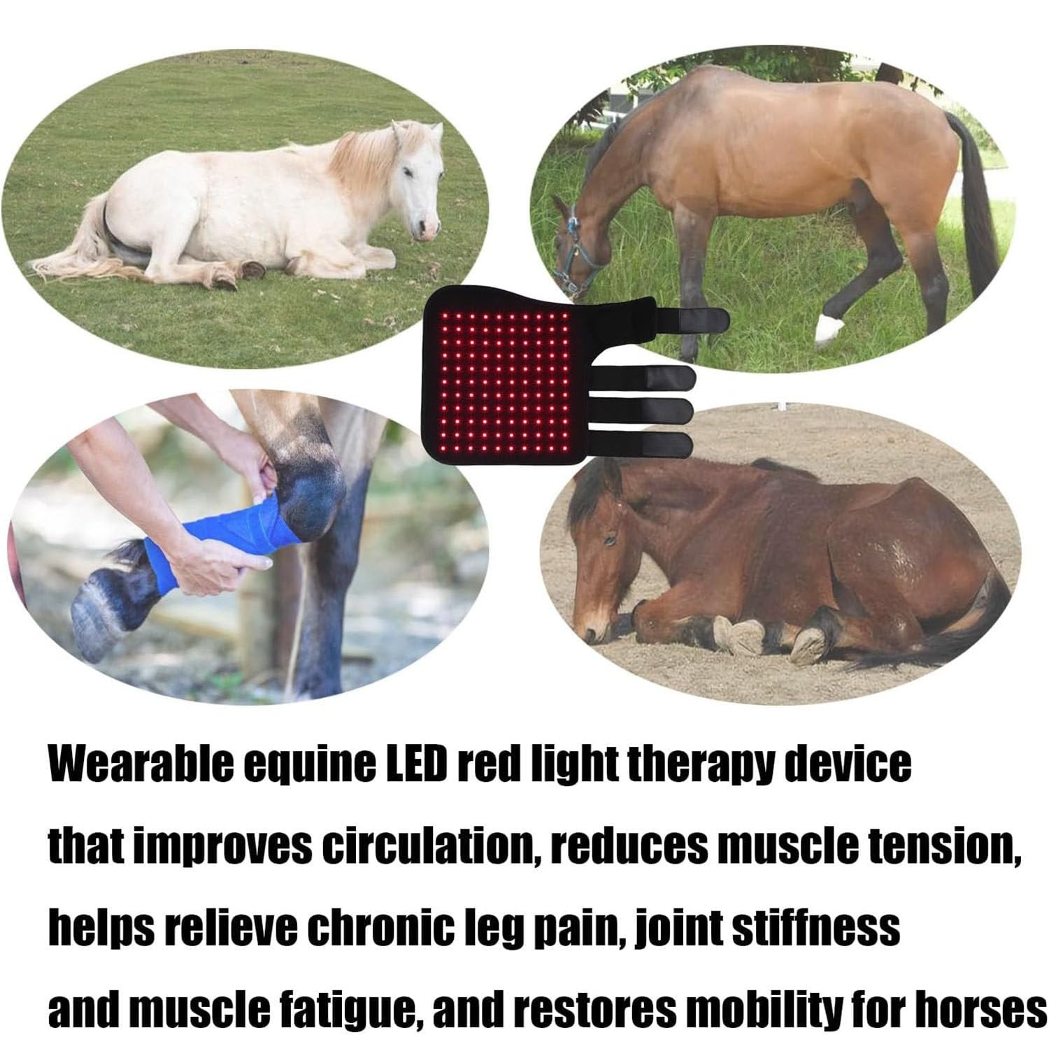 Envoltura de Terapia de luz LED inalámbrica para Caballos, Dispositivo de Terapia de luz roja LED para Cuerpo Completo de Caballos, Botas para Cascos de Terapia de luz roja portátiles Right