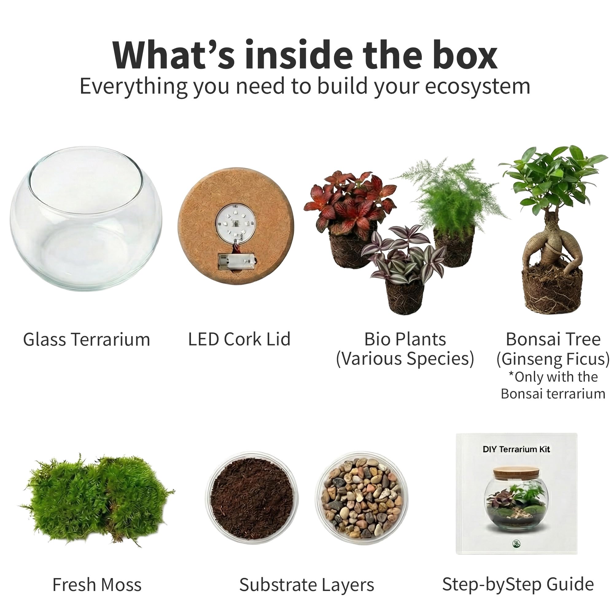 vdvelde.com - Bonsai Ökosystem - Bonsai und Minipflanzen - Ø 25cm ↥ 28cm - Batteriebetriebene Beleuchtung