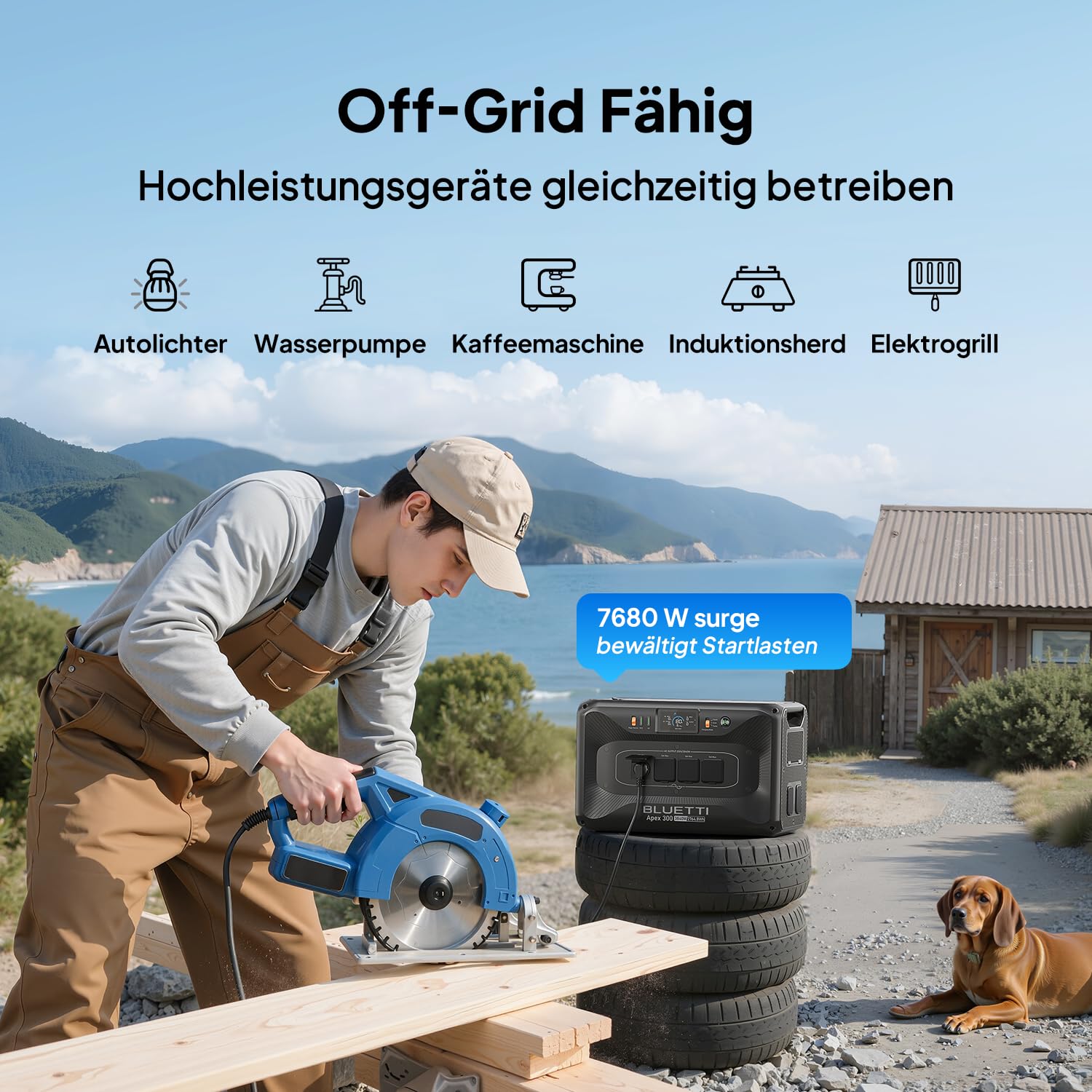 BLUETTI Apex 300 Generator mit 800W Balco Transfer Hub, 2764.8 Wh 0% VAT