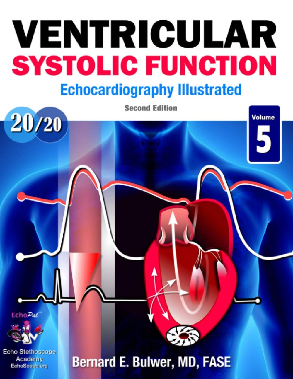 Ventricular Systolic Function: Second Edition