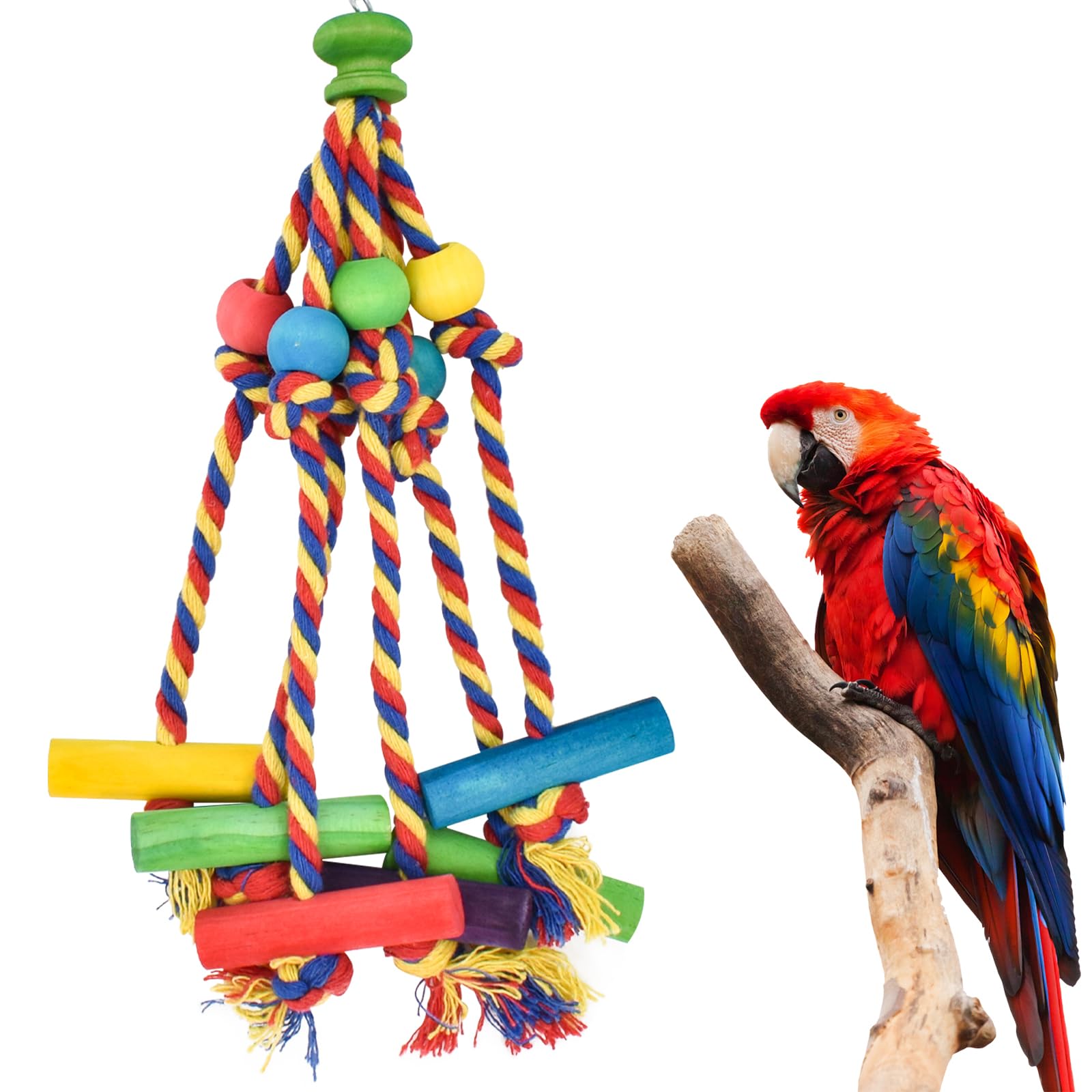Jouets de Perroquets Coloré