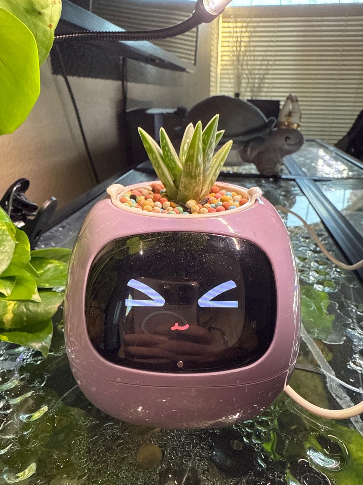 Plantagotchi - AI Smart Planter photo review