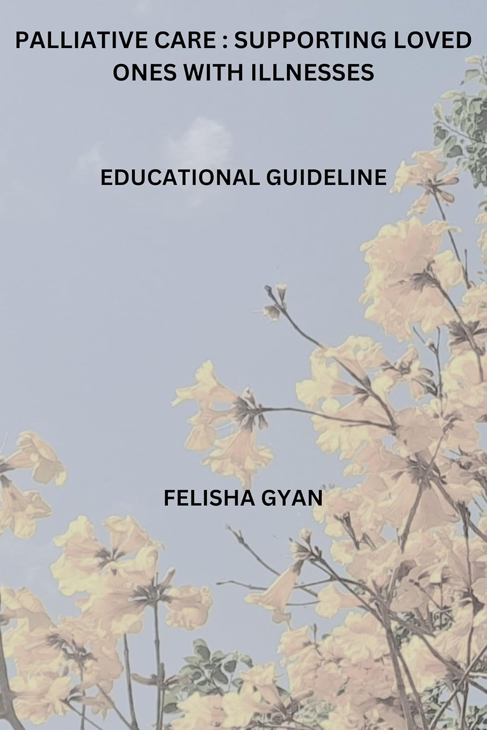 PALLIATIVE CARE : SUPPORTING LOVED ONES WITH ILLNESSES: EDUCATIONAL GUIDE