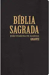 Bíblia RC gigante - Capa semi luxo preta: Com dicionário e concordância
