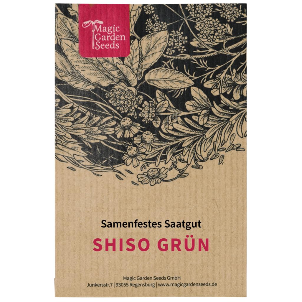 Magic Garden Seeds - Shiso grün (Perilla frutescens) - ca. 200 Samen - aromatische Kräutersorte - Kräutersamen - Kräuter Samen - Garten Geschenk