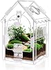 YUEHUA Acrylic Reptile Transport Box Mini Reptile Breeding Box for Snails,Tarantula, Lizards, Scorpions, Beetles 8 x 8 x 14 cm