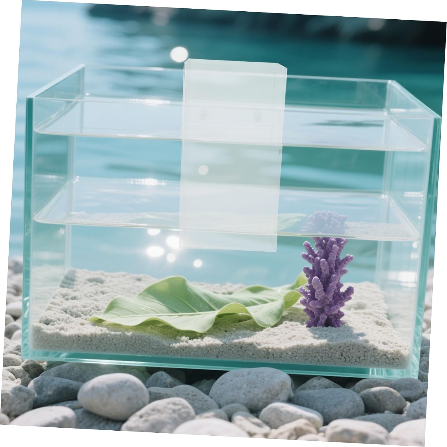 Suspended Negative Pressure Aquarium for Betta, Auto Refill Acrylic Tank | 19.00 X 19.00x16.00cm Size, Visual Effect, No-drill Installation for Offices and Apartments