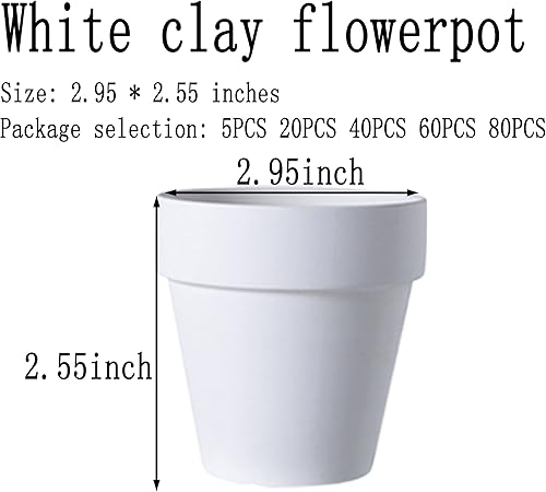 Miniatura 2 de XXYXXY 20 macetas de terracota blancas de 2.95 pulgadas con agujeros de drenaje, macetas jugosas para oficina en casa, alféizar de ventana,