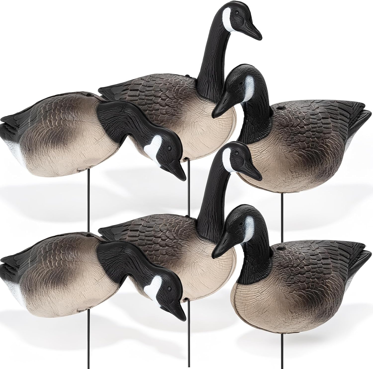 6 Pack Canadian Goose Decoys, Full Body Xpe Foam with Stakes | Includes 3 Feeding and Alert Postures, Collapsible Construction Enables Easy Transport Across Fields, Marshes, and Snow