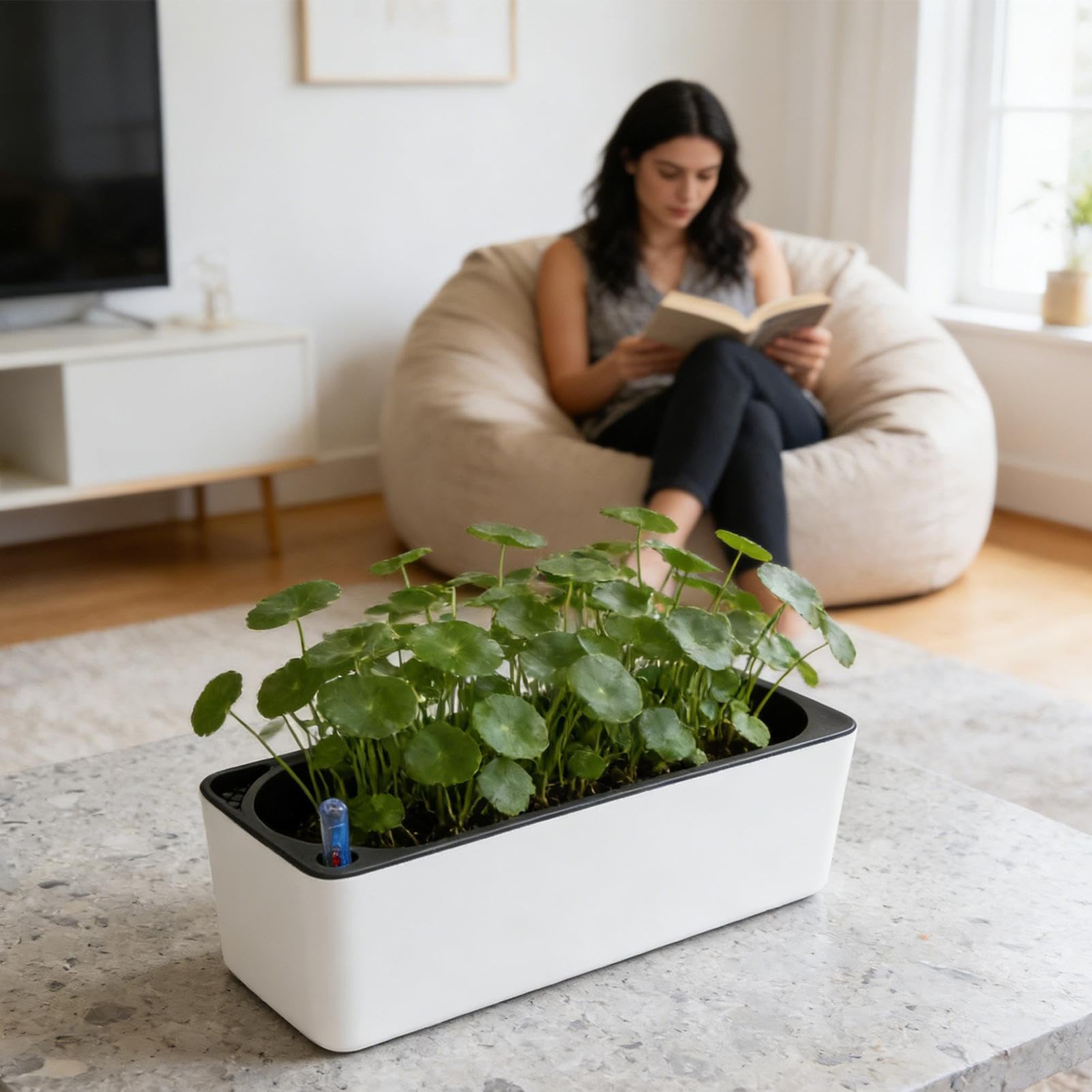 für Zimmerpflanzen, selbstbewässernder, atmungsaktiver Blumentopf – selbstbewässernder Übertopf – für Balkon, Fensterbank, Terrasse, Eingang, Wohnzimmer, Innen- und Außenbereich,