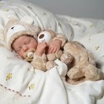 BABESIDE Lifelike Reborn Baby Dolls Boy - 17-Inch Baby Soft Body Realistic-Newborn Baby Dolls Full Body Vinyl Silicone Baby Doll Real Life Baby Dolls with Toy Accessories for Kids Age 3+