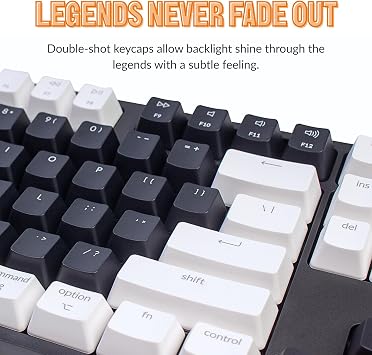 Keychron C2 Full Size 104 Keys USB Type-C Wired Mechanical Gaming Keyboard for Mac Layout, Gateron G Pro Red Switch/RGB Backlight/Double-Shot ABS keycaps Computer Keyboard for Windows Laptop PC