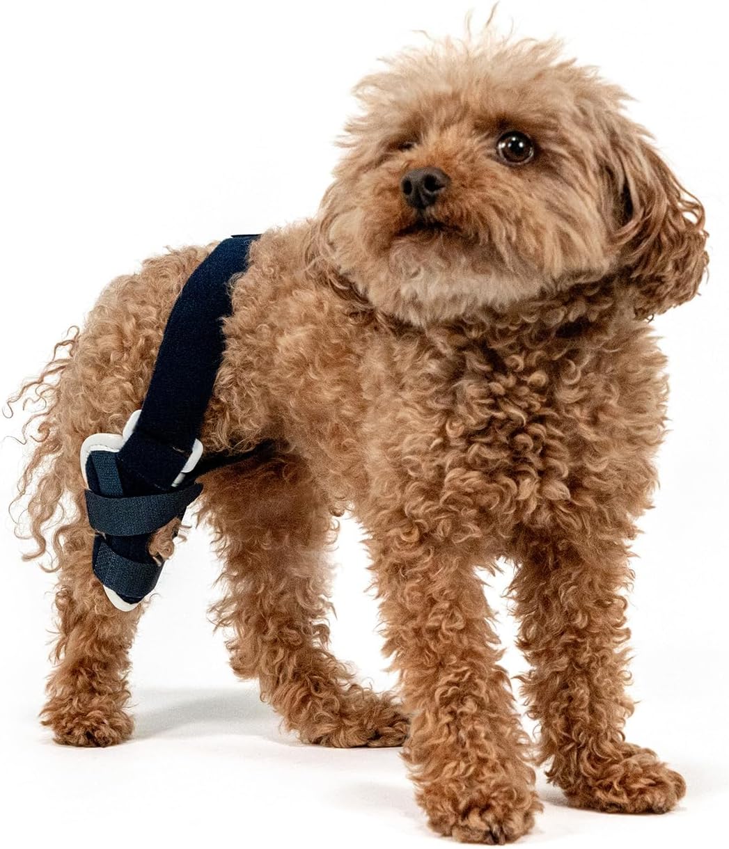 Balto Jump Dog Knee Brace – Orthopedic ACL/CCL Support for Dogs – Adjustable Leg Stabilizer for Joint Pain, Injury Recovery & Arthritis – Vet-Approved Canine Knee Support (XX-Small, Right Leg)
