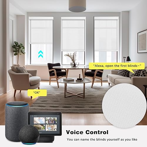 Miniatura 6 de Changshade Persianas enrollables solares motorizadas de tamaño personalizado para ventanas, persianas enrollables inalámbricas con filtro de luz