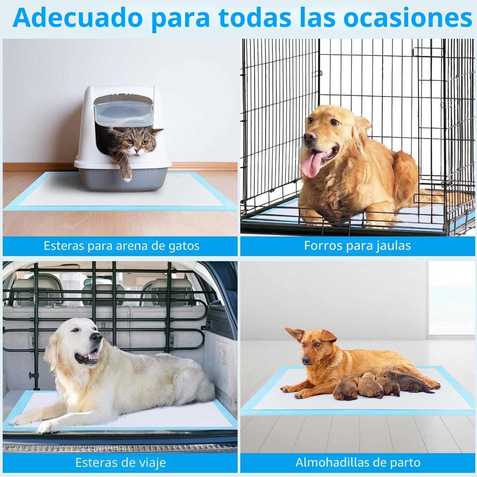 60 Piezas Empapadores Perros, 90 x 60cm Almohadillas Absorbentes, Almohadillas de adiestramiento de Perros y Cachorros, Superficie de Secado Rápido