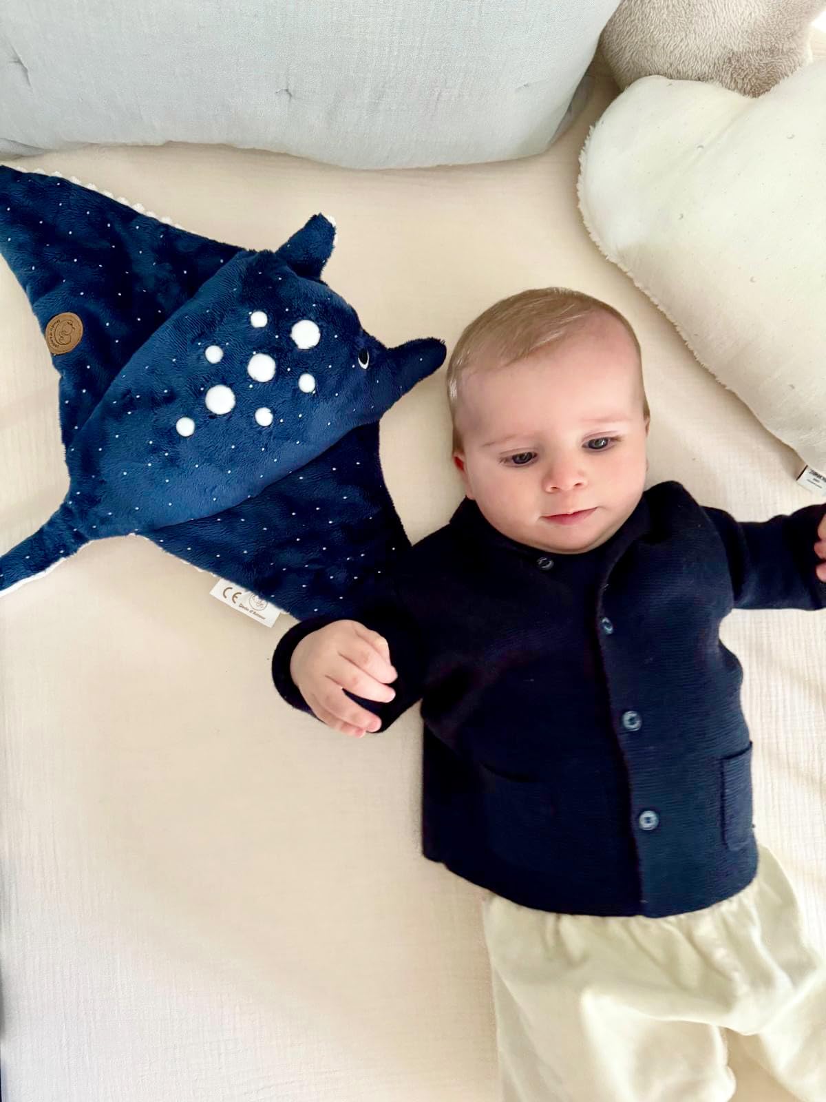 DODO D'AMOUR - Peluche Luce Notturna Manta Modula - Dodo Dreamer - 053065 - Blu - Regalo - Lavabile in Macchina - Creatore Francese - Coach del Sonno Bambino - Sleep Trainer - dalla nascita
