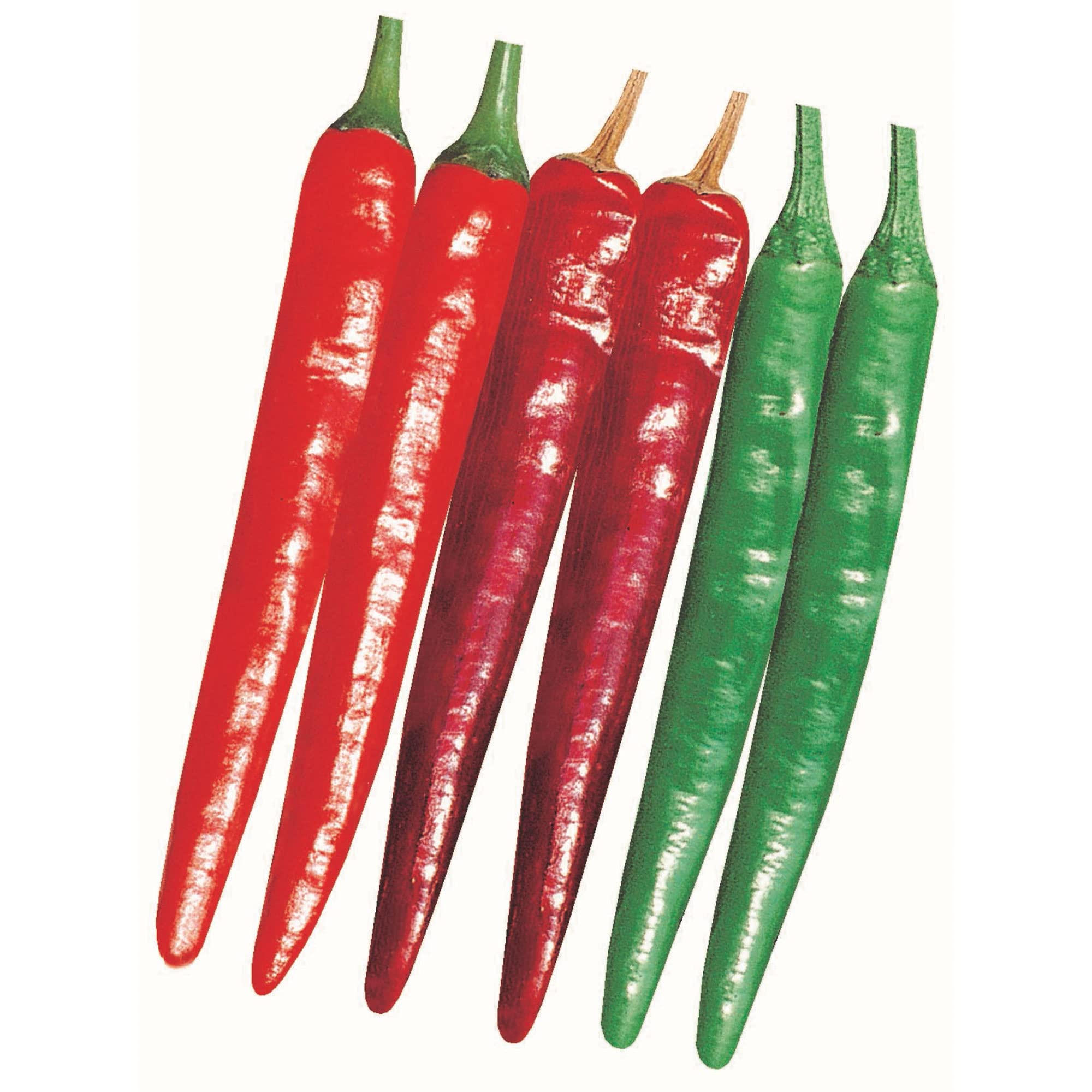 Amazon.com : Kitazawa Seed Co Pepper Seeds Hot Korean Wa Mae Wo