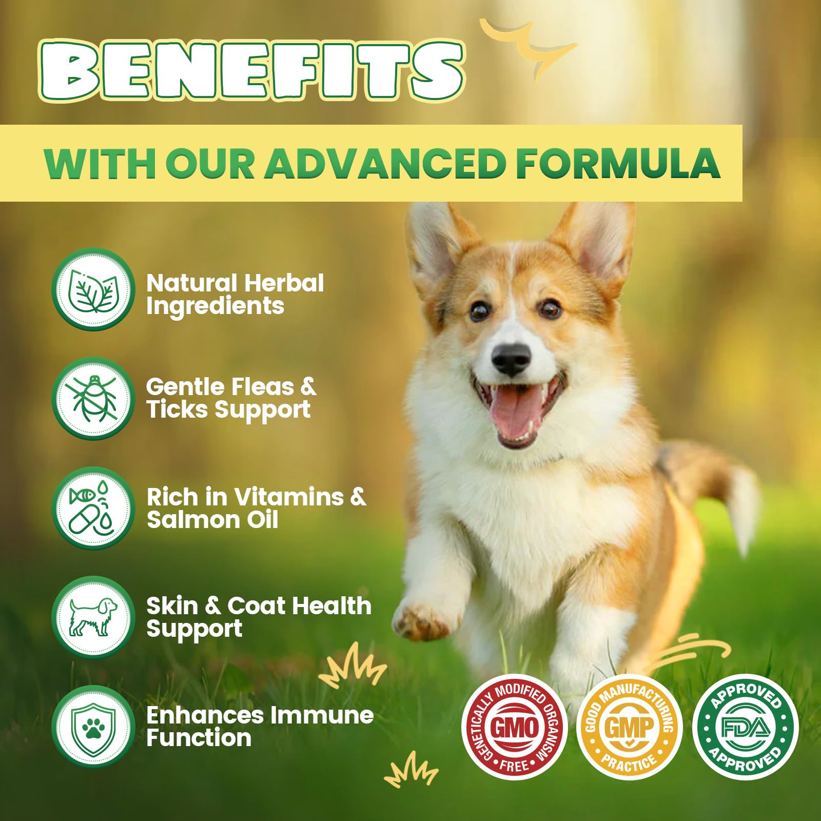 Flea Support for Dogs 200 Natural Soft Chewables Flea Support with Vitamins & Fish Oil - Image 3