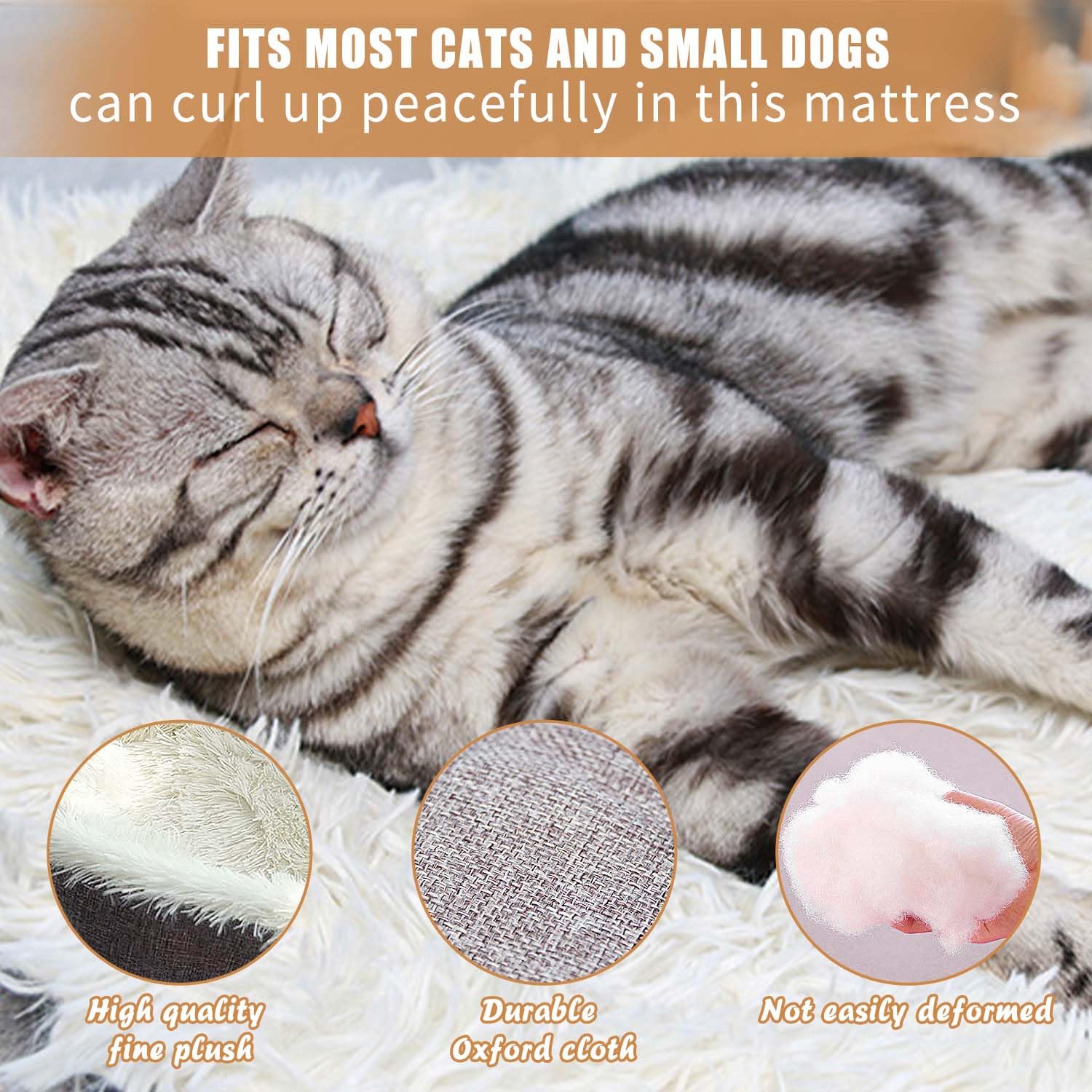 Jesdavan Cuccia Pelosa, Pieghevole Interno, Lavabile Lettino, Morbida Adatto a Gatti Cani di Piccola e Media Taglia(60 x 50cm)