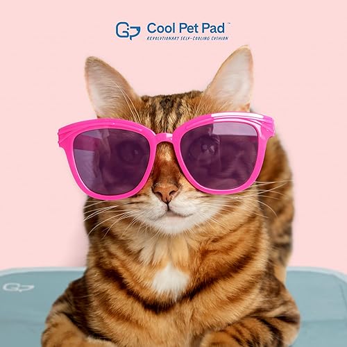 Miniatura 6 de The Green Pet Shop Almohadilla de Mascotas Fresca - Extra Grande, Gris Salvia - Alfombrilla Autoenfriante, Activada por Presión para Perros y Gatos