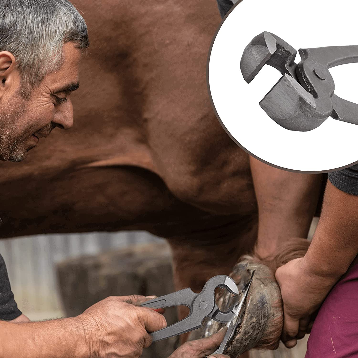 Horses - Juego de herramientas de herradura profesional de 13 piezas para caballos, ganado, ovejas