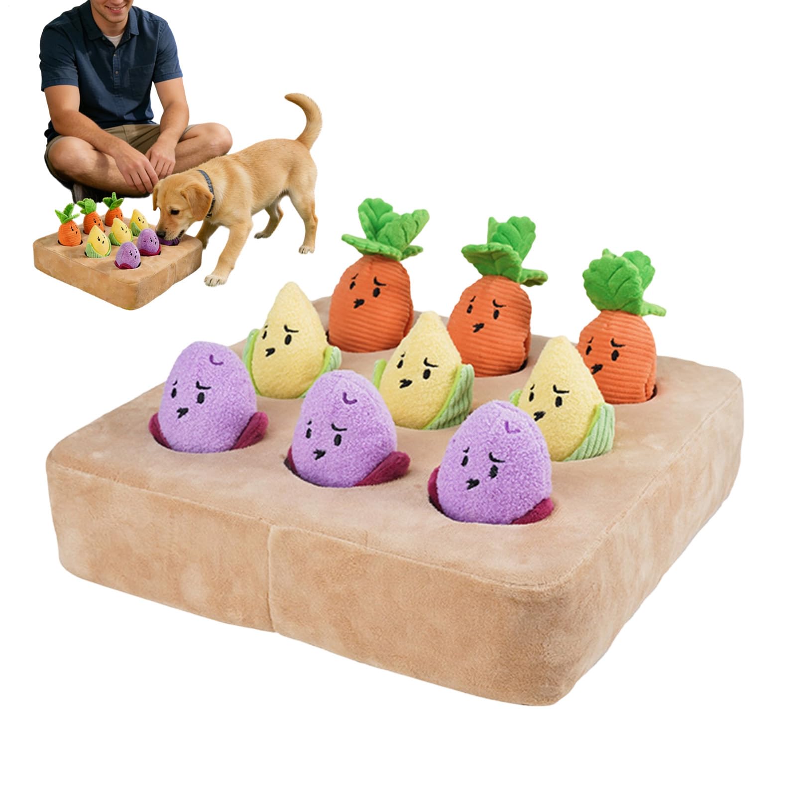 Jouet d'alimentation lent pour chien tapis de fouille carotte