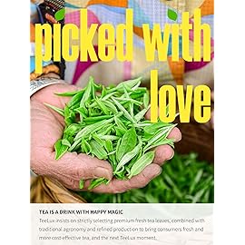 TeeLux Green Tea Bags, Natural Pure Green Tea, Super Antioxidant, Caffeinated, 100 Count Tea Bags to Support Overall Health