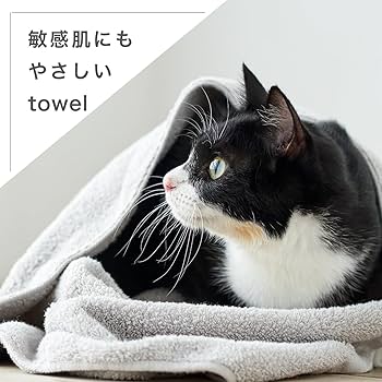 Amazon｜今治タオル 認定 ペット専用タオル スリムバスタオル 猫