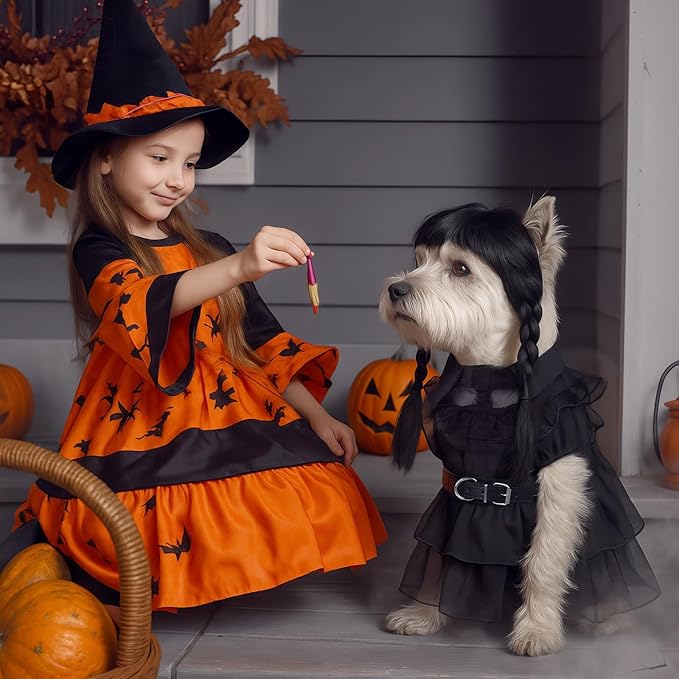 Disfraz de Halloween para perro talla L con vestido y peluca miniatura 5