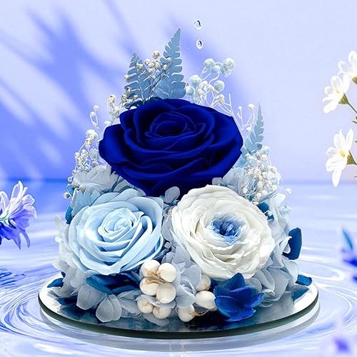Miniatura 4 de Rosas preservadas en cúpula de cristal, regalo de flores eternas para mujeres, mamá, esposa, cumpleaños, día de San Valentín, rosas eternas para