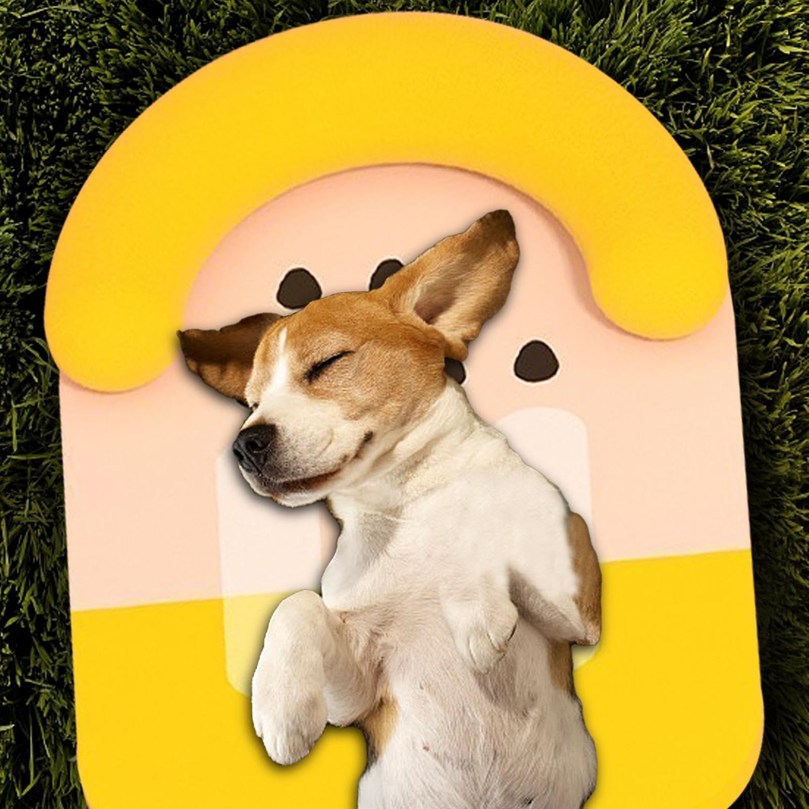 Alfombrilla de refrigeración para mascotas, con forma de paleta colorida | Cama impermeable para perro, manta de refrigeración cómoda y transpirable con almohada para el hogar, criadero