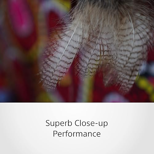 Sony SEL1655G — nuotrauka 5