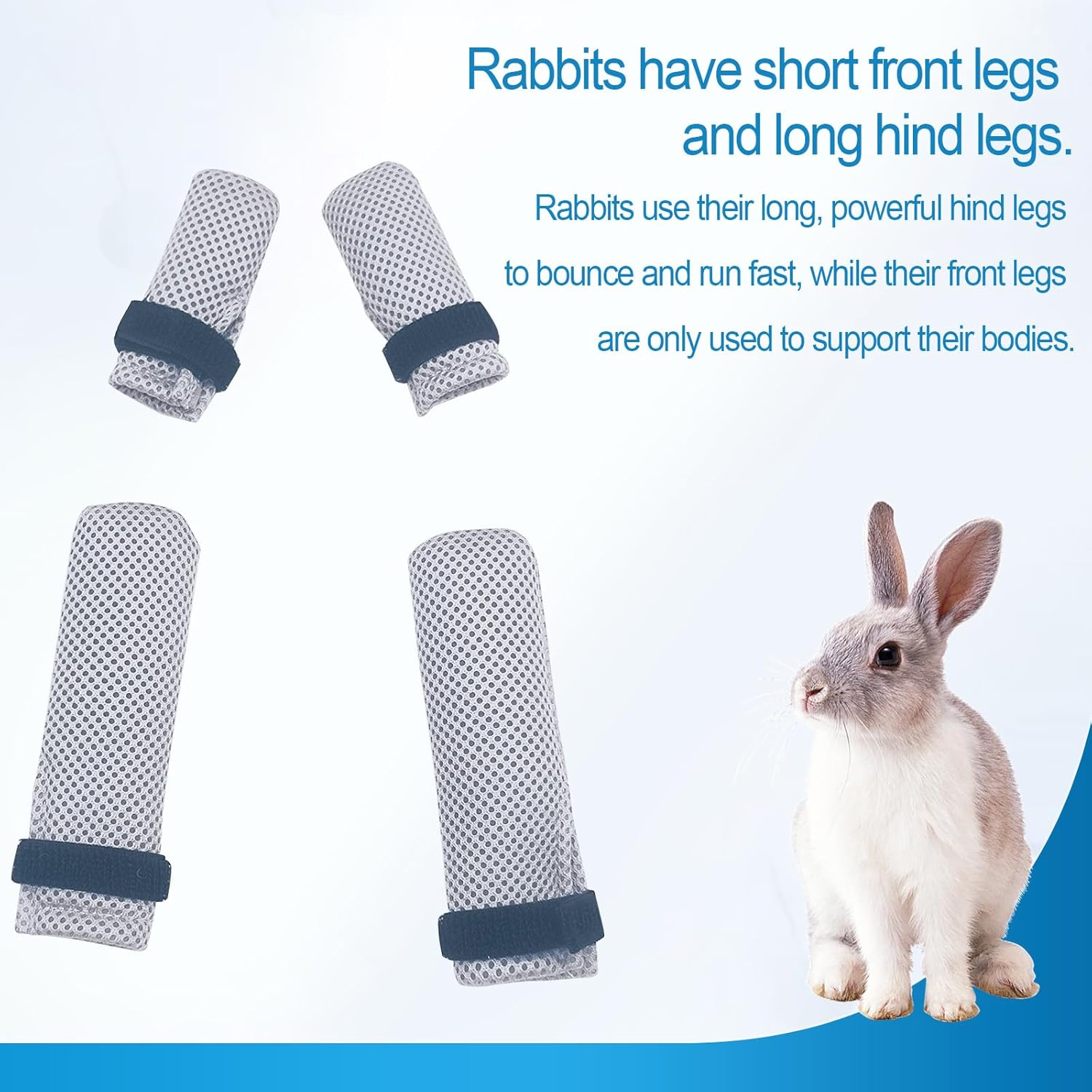 review Bunny Mittens to Prevent Scratching,Cat Booties to Prevent Scratching,Bunny Claw Covers,Adjustable Mesh Claw Protectors,for Bathing Shaving Checking. (Grey, L)