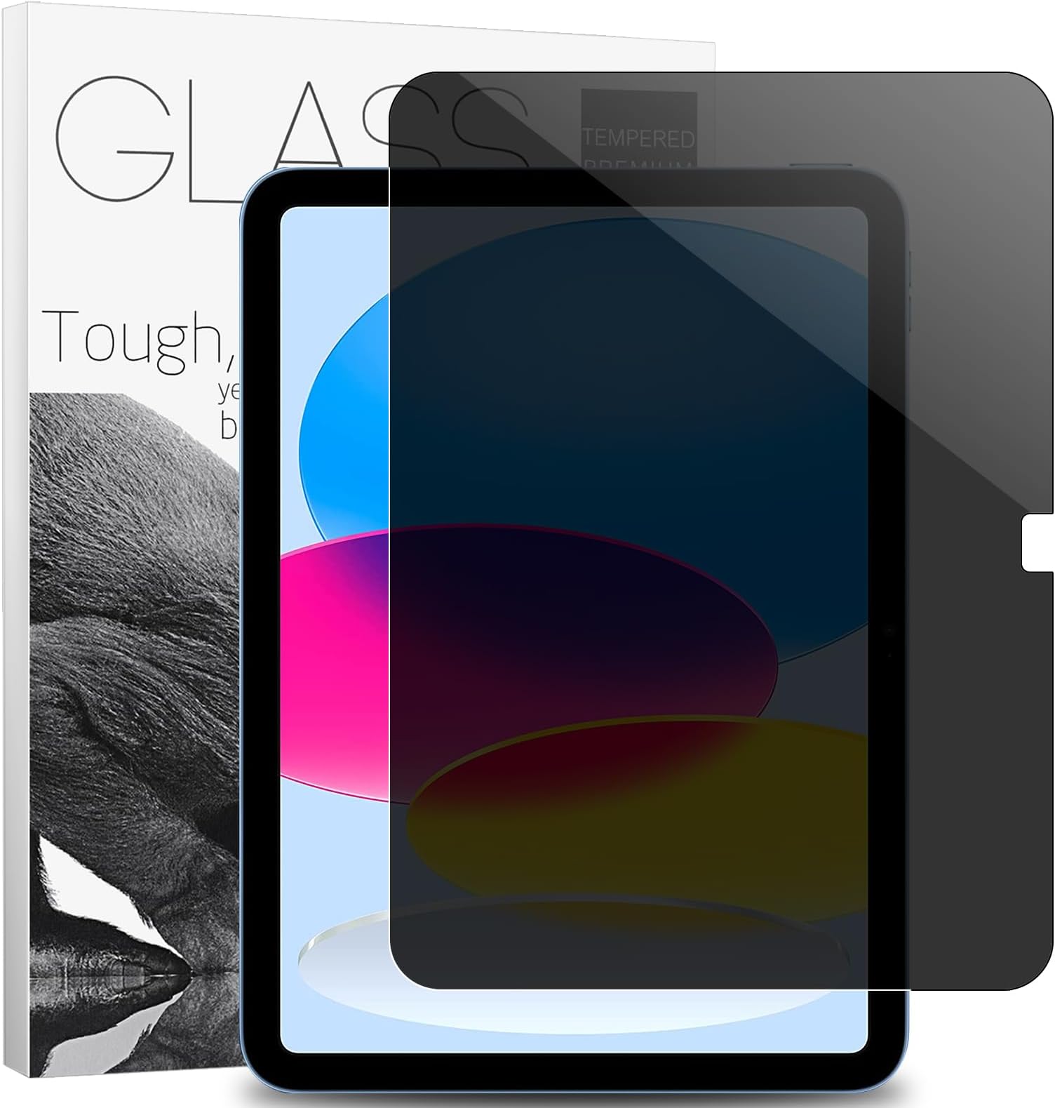 9H Hardness iPad 10.9-inch Tablet Privacy Screen Protector (for 2022 Release, 10th Generation, A2696/A2757/A2777), Anti-scratch, Bubble-free, Fingerprint-resistant